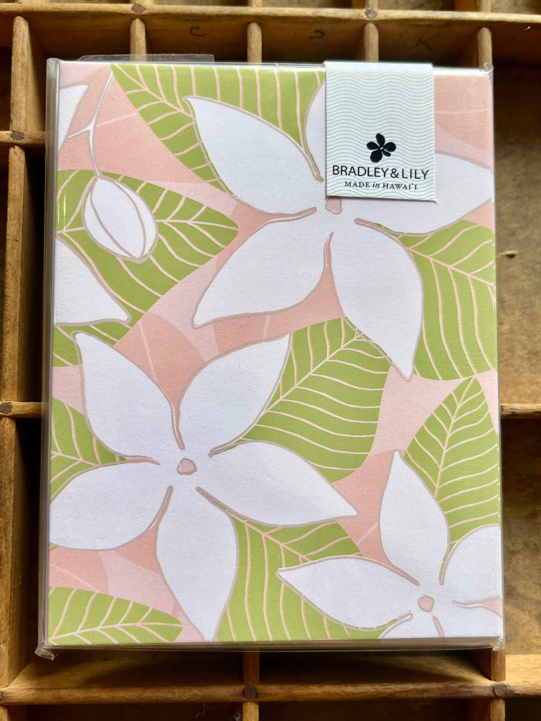 Pink Stephanotis Notes