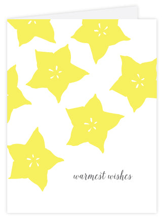 Starfruit Warmest Wishes Letterpress Card