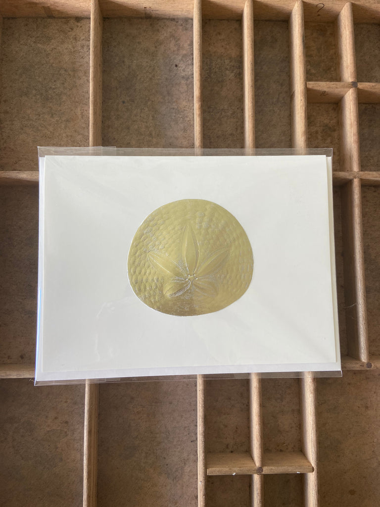 Sand Dollar Card 5x7 by Paula Skene