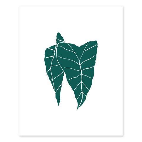Kalo Letterpress Art Print