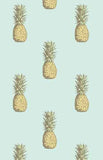 Luggage Tags